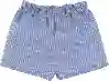 Resim Çizgili  Şort 19319