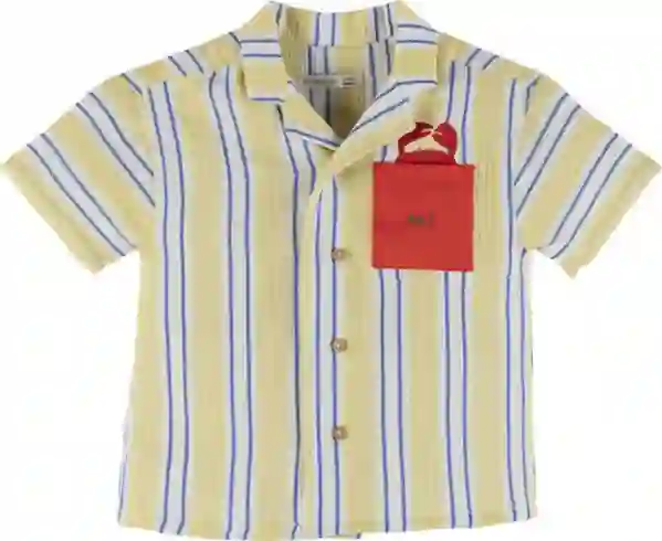 Resim Çizgili Gömlek 19351