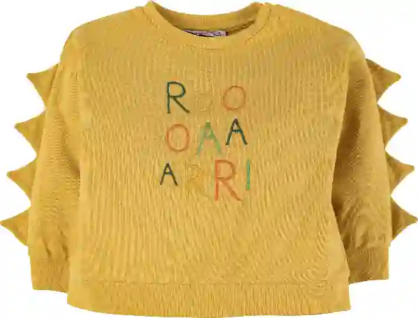 Resim Nakışlı Sweatshirt 17012