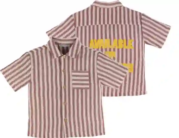 Resim Çizgili Gömlek 19421