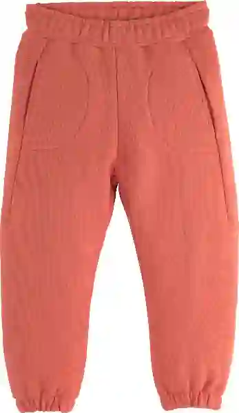 Resim Alt Eşofman 15811