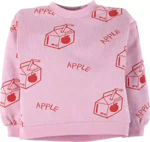 Resim Baskılı Sweatshirt 16924