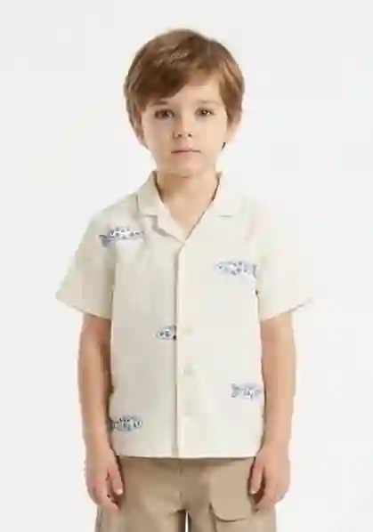 Resim Pembe Çizgili Gömlek 19410