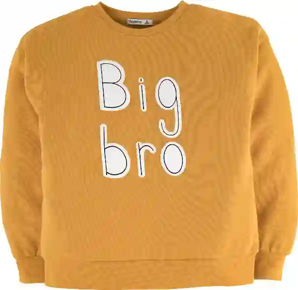 Resim Baskılı Sweatshirt 16193