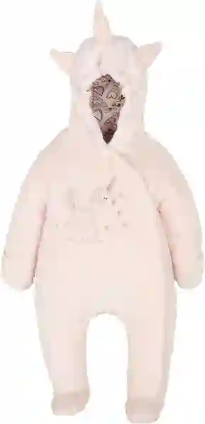 Resim 14133 Kozmonot